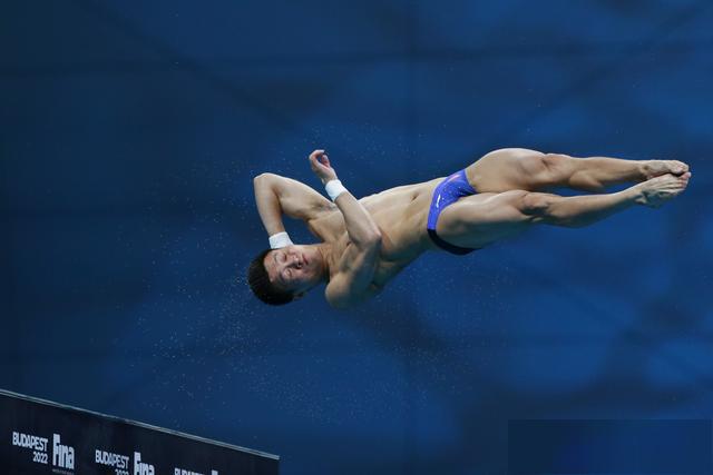 (游泳世锦赛)跳水—杨健获得男子10米台冠军