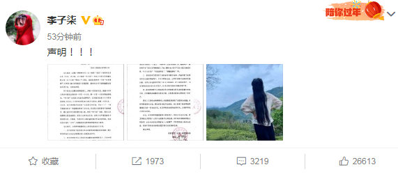 停更290天的李子柒,已被迫改名?