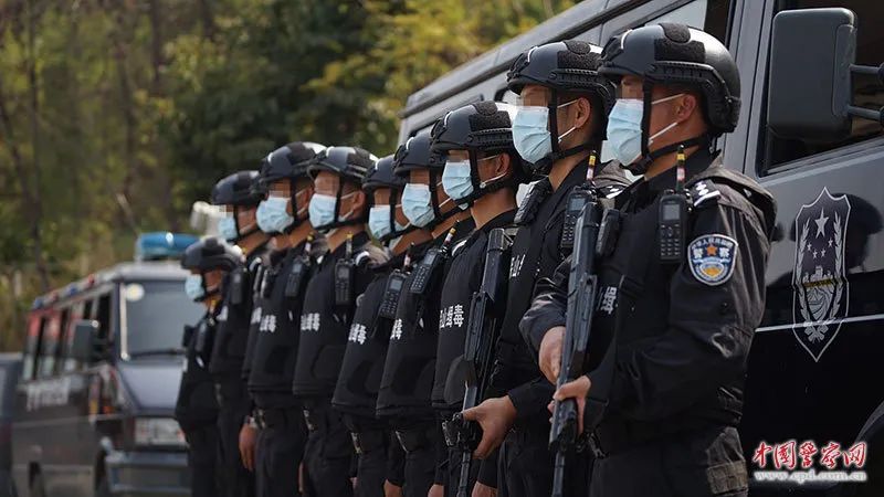 你在左我就在右缉毒现场一个眼神他们就可以把后背交给对方