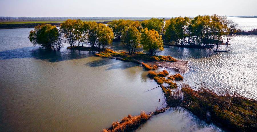 合肥再开三条定制旅游公交专线