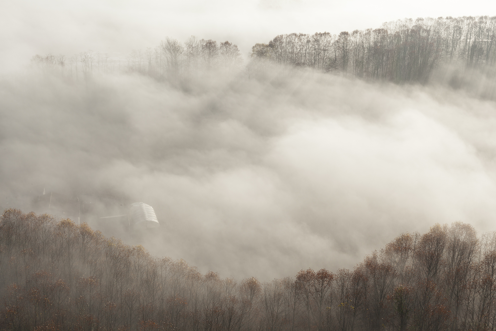 氤氲是什么意思?氤氲旖旎是什么意思
