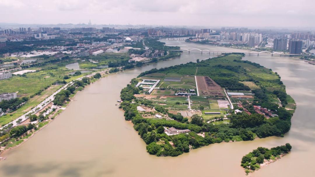 东莞鲤鱼岛图片