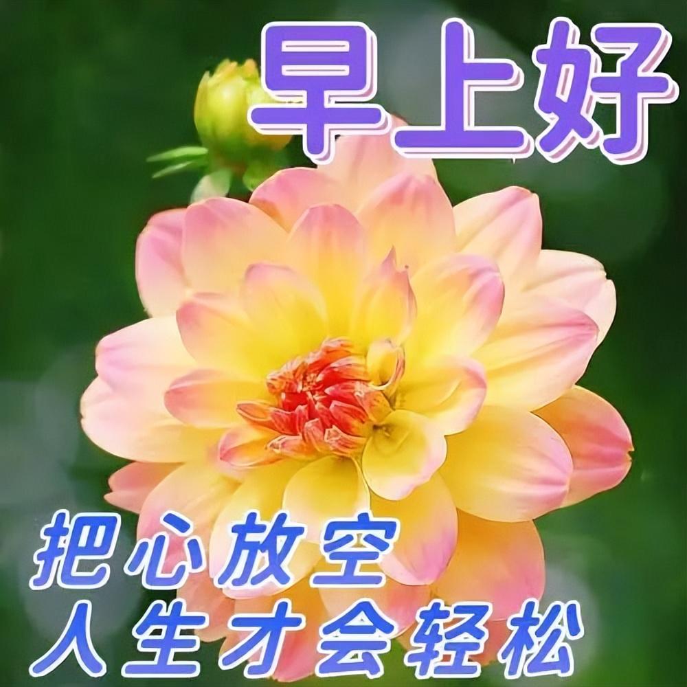 早上好祝福语