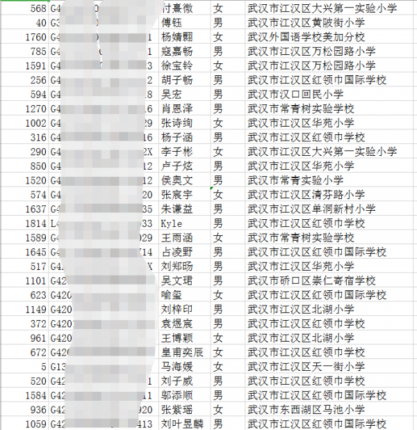 武汉慧泉中学图片