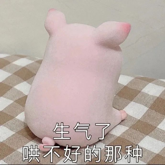 小猪表情包