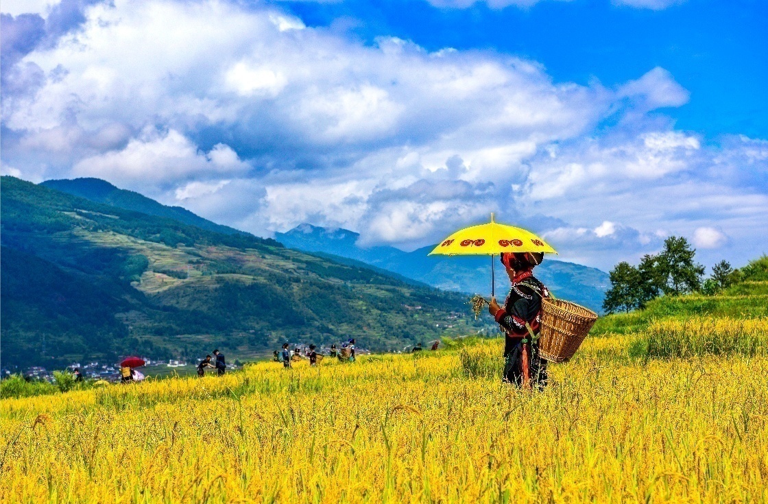 凉山风景图图片