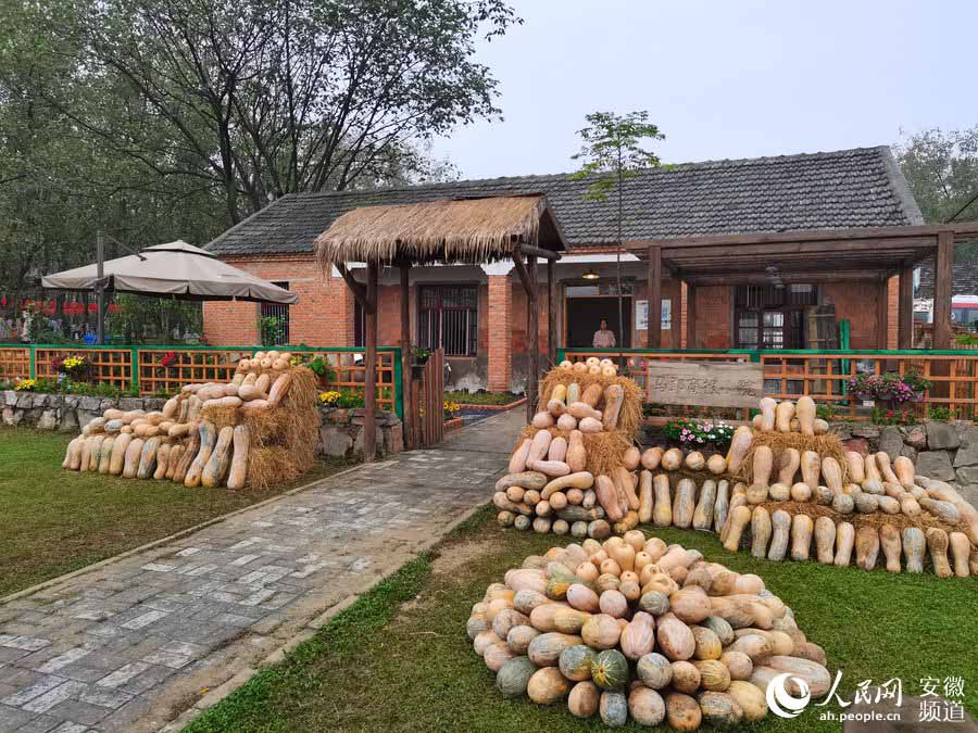 合肥农民丰收节在长丰县马郢社区举行