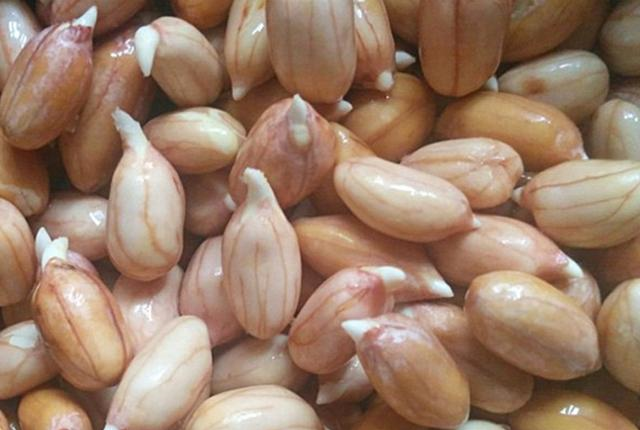 花生发芽能吃吗?