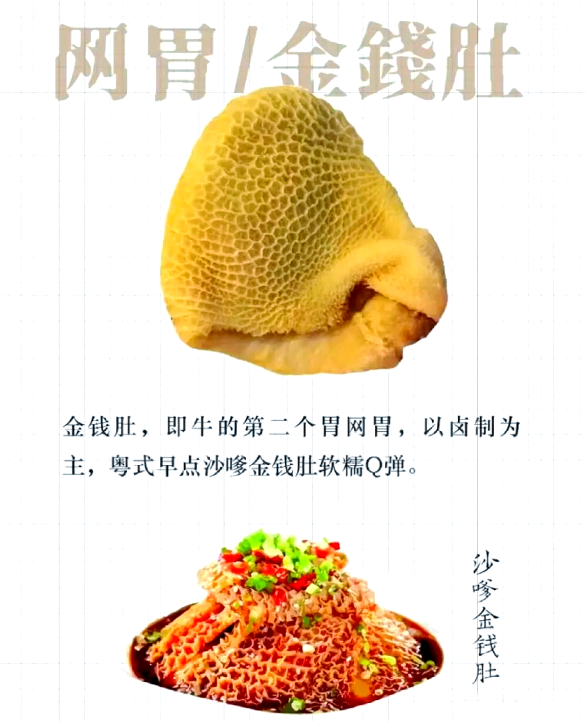 如何区分牛胃中的瘤胃、网胃、瓣胃和皱胃？各自的特点与做法是什么？
