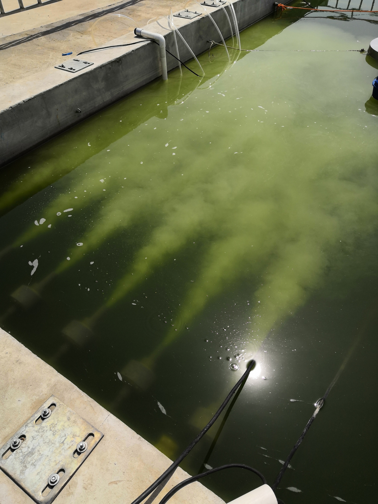 微纳米曝气机古蓝气泡曝气机