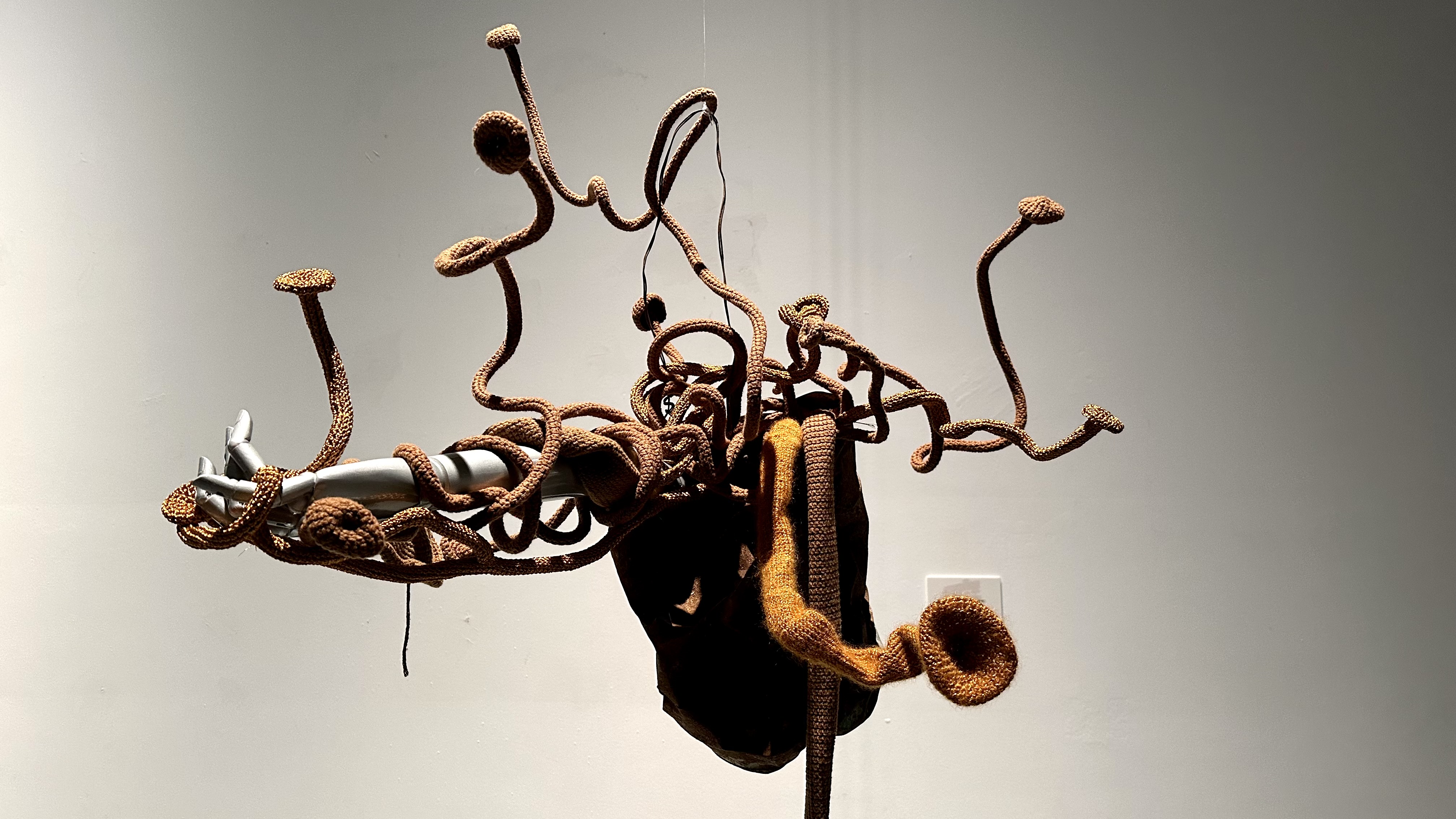 视频|首个装置艺术个展亮相江西省美术馆