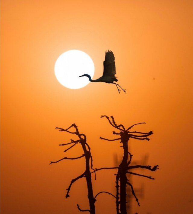 让心归于平静的哲理说说,句句入骨,过目不忘!