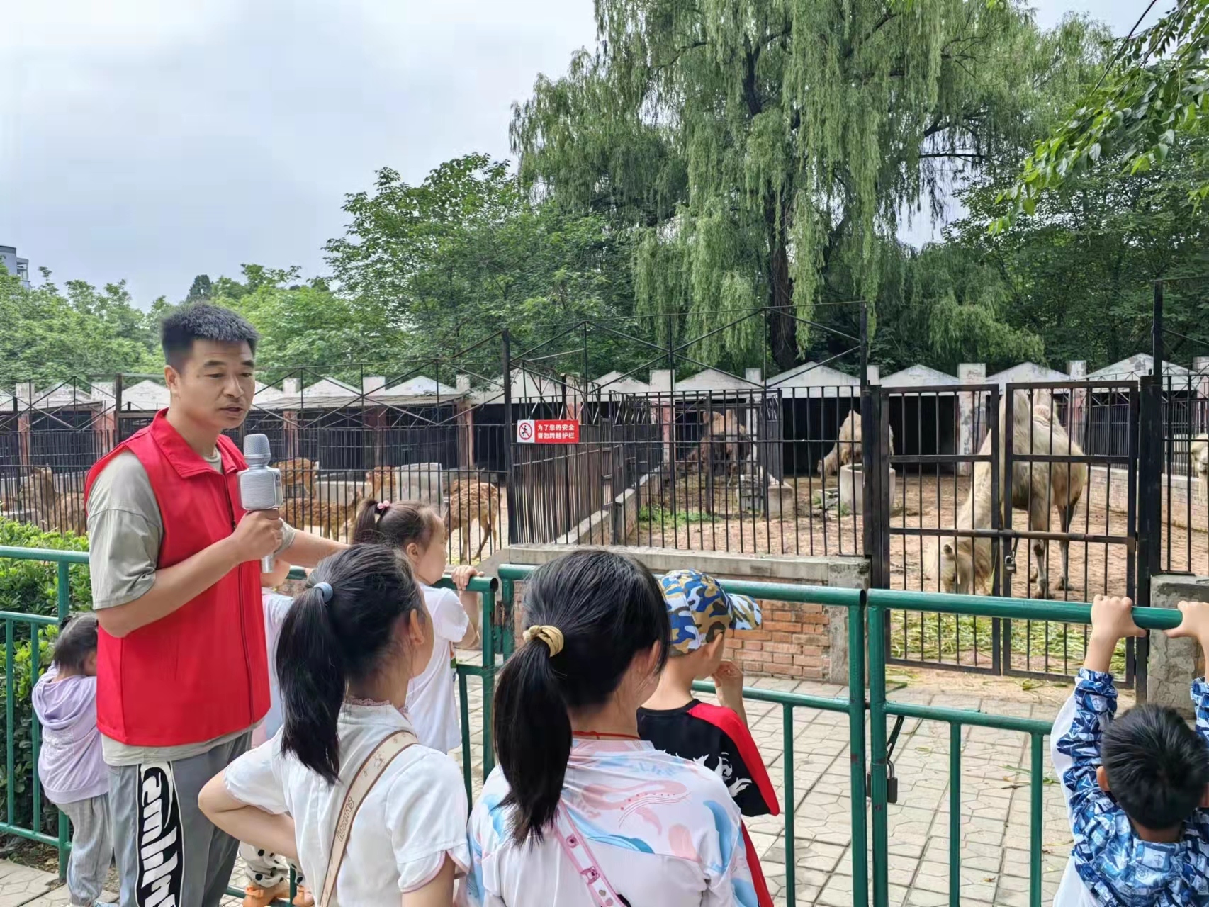 保定市动物园举办童心同乐,茁壮成长儿童节亲子游园活动