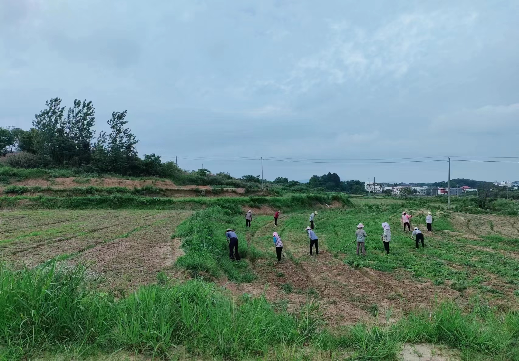 江西九江彭泽县定山镇图片