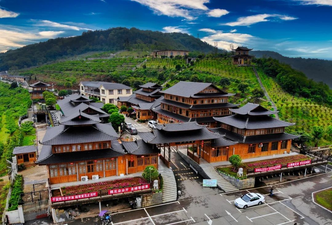 甜秋的味儿漾湘江 || 黄莲花:深耕农业17载,"新农人"书写别样"田园诗"