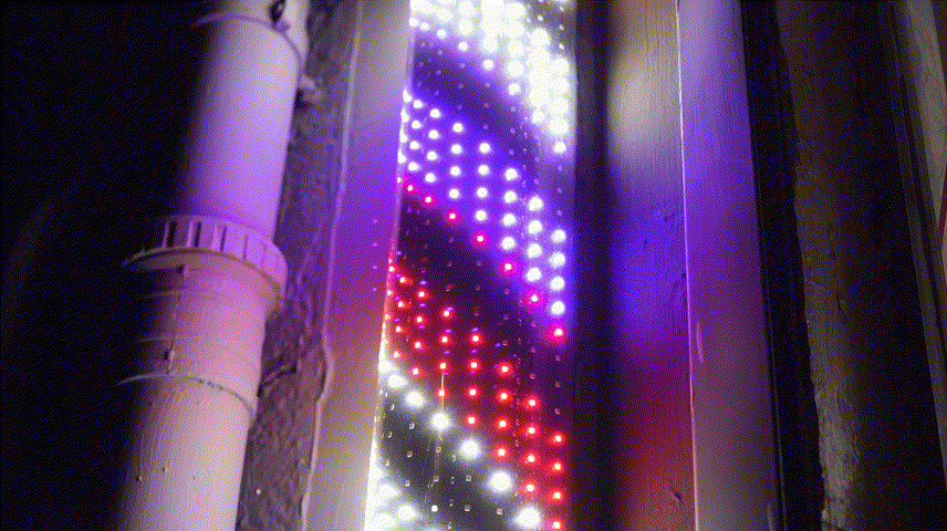 856_480gif 动态图 动图