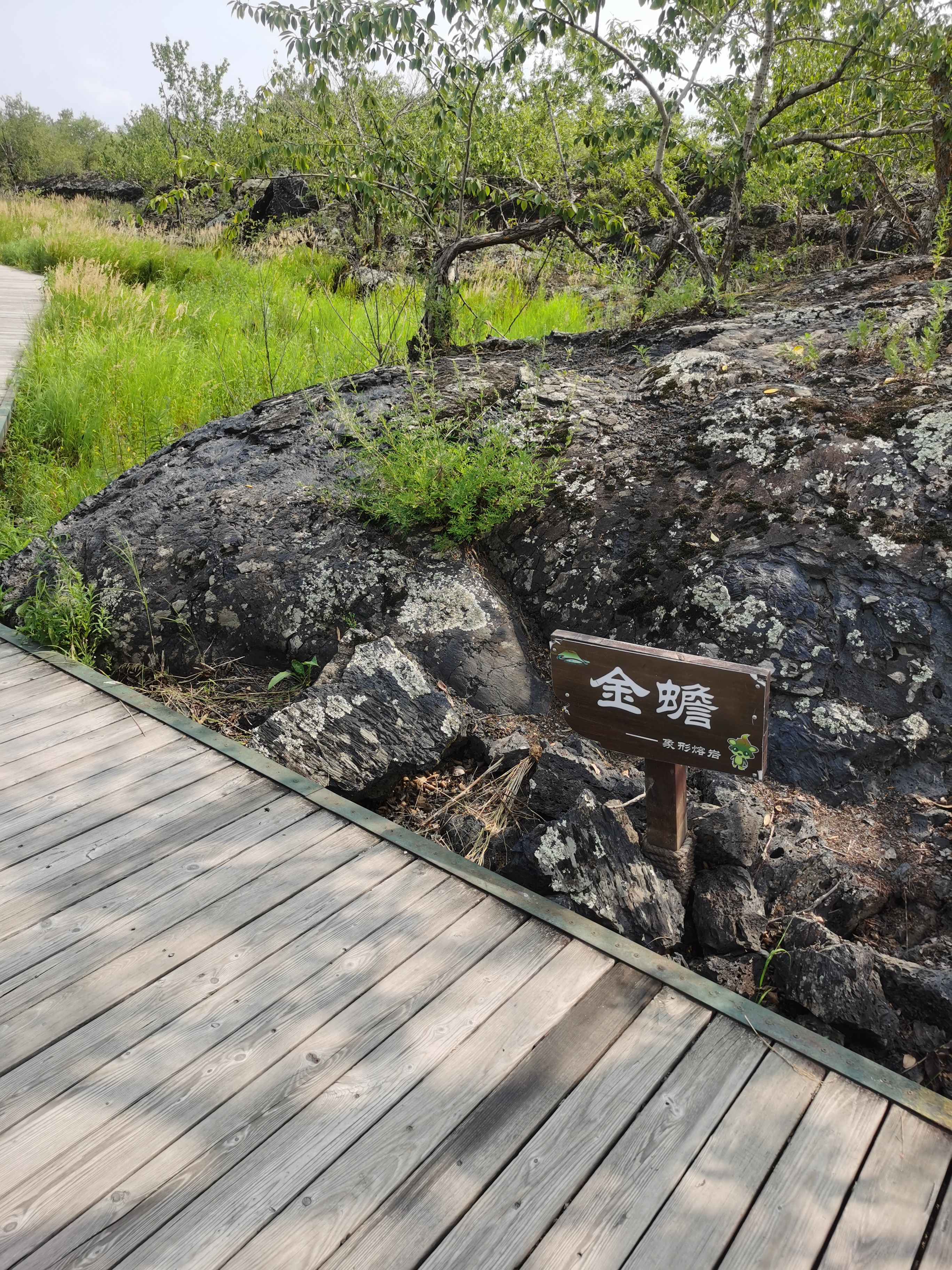 五大连池温泊景区(5a级世界地质公园)