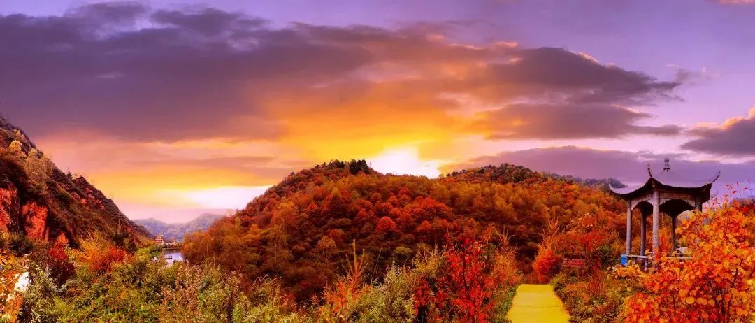 打开十月浅秋,甘肃渭源迎来最美赏秋季!