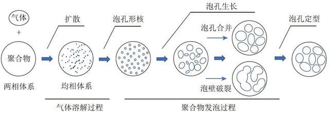 发泡成型过程图片