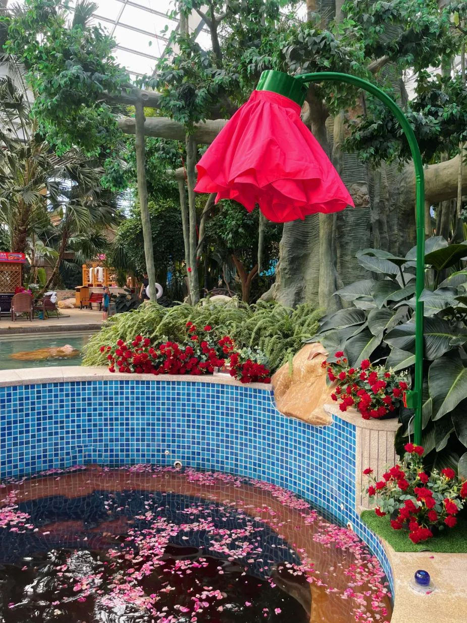 国信南山温泉旅游景区https://mp.weixin.qq.