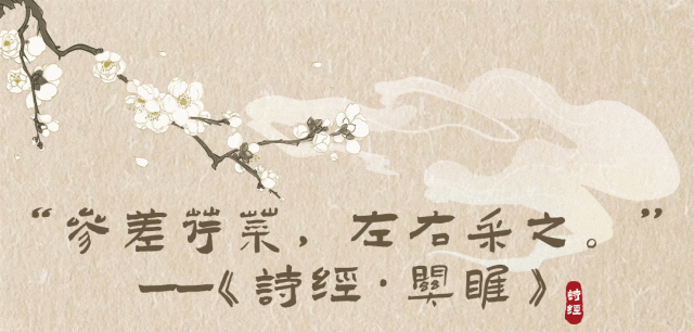 人少景美!在南京拍到了《诗经》中的荇菜花!