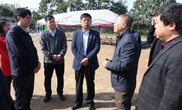 许昌市委常委,宣传部长王自合到禹州市调研文化建设保护工作