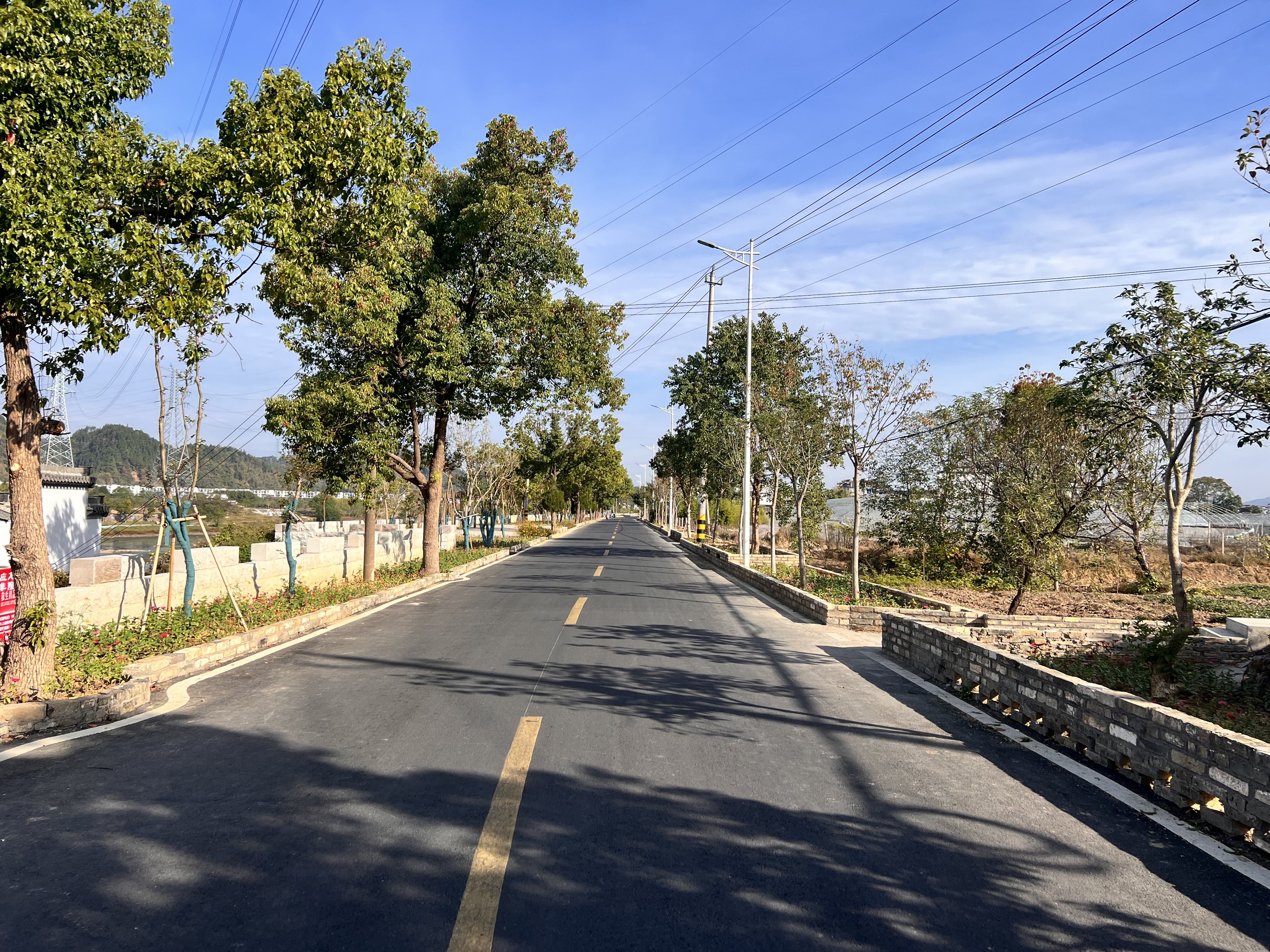 屯溪区:建设"四好农村路" 让乡村振兴驶入"快车道"