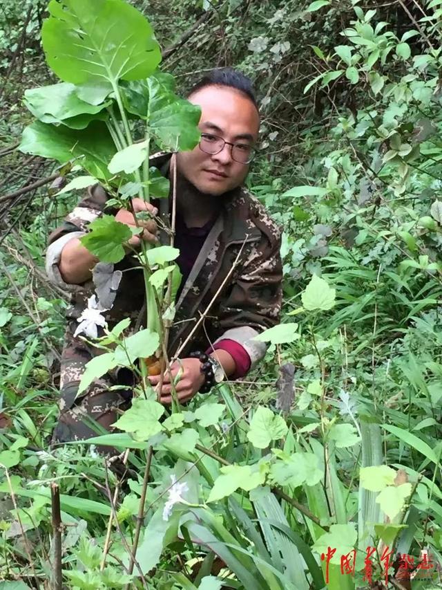 奋斗者,正青春⑥|"百合王子"余小龙:不服输不认命