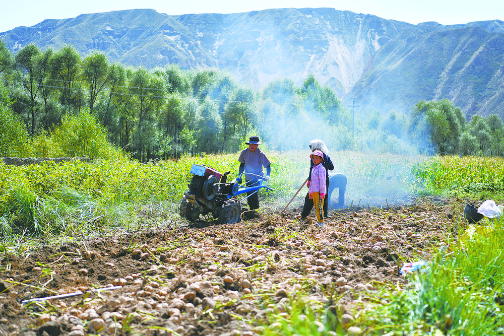 资源"转起来" 农民"赚起来"——同德县尕巴松多镇完科村见闻