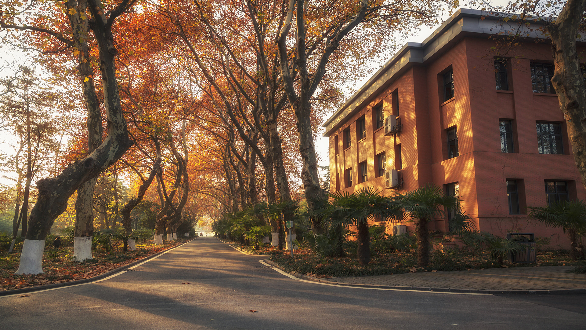 每天介绍一所大学:中国科学技术大学