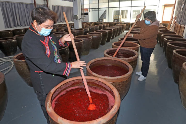 杭州:畲乡红曲酒开酿 传承特色酿酒技艺