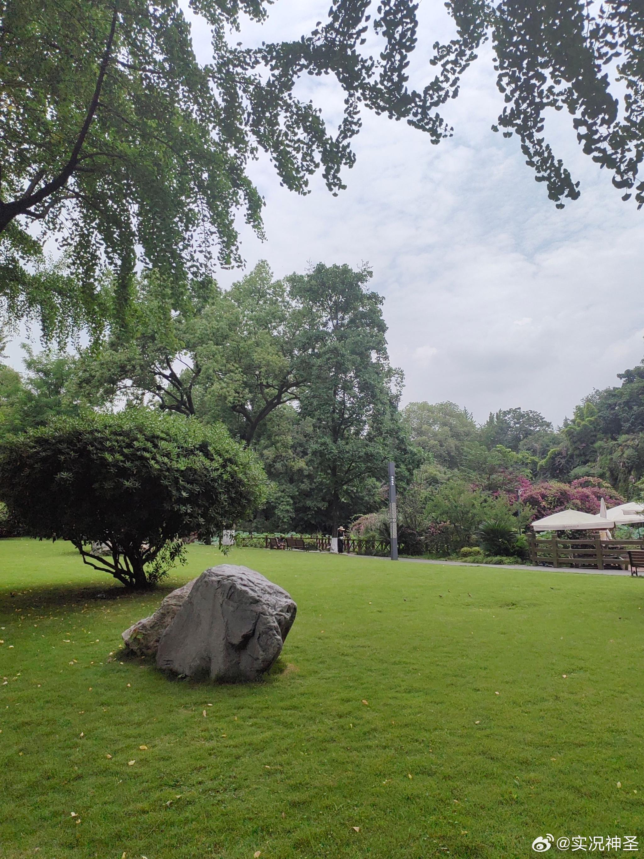 分享夏天的成都美景,微风徐徐,风清气爽
