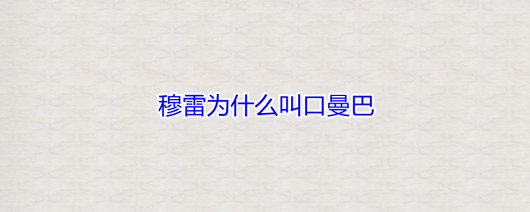 穆雷为什么叫口曼巴,穆雷简介