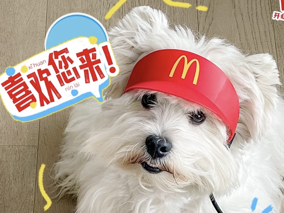 麦当劳打工帽为啥突然火了?