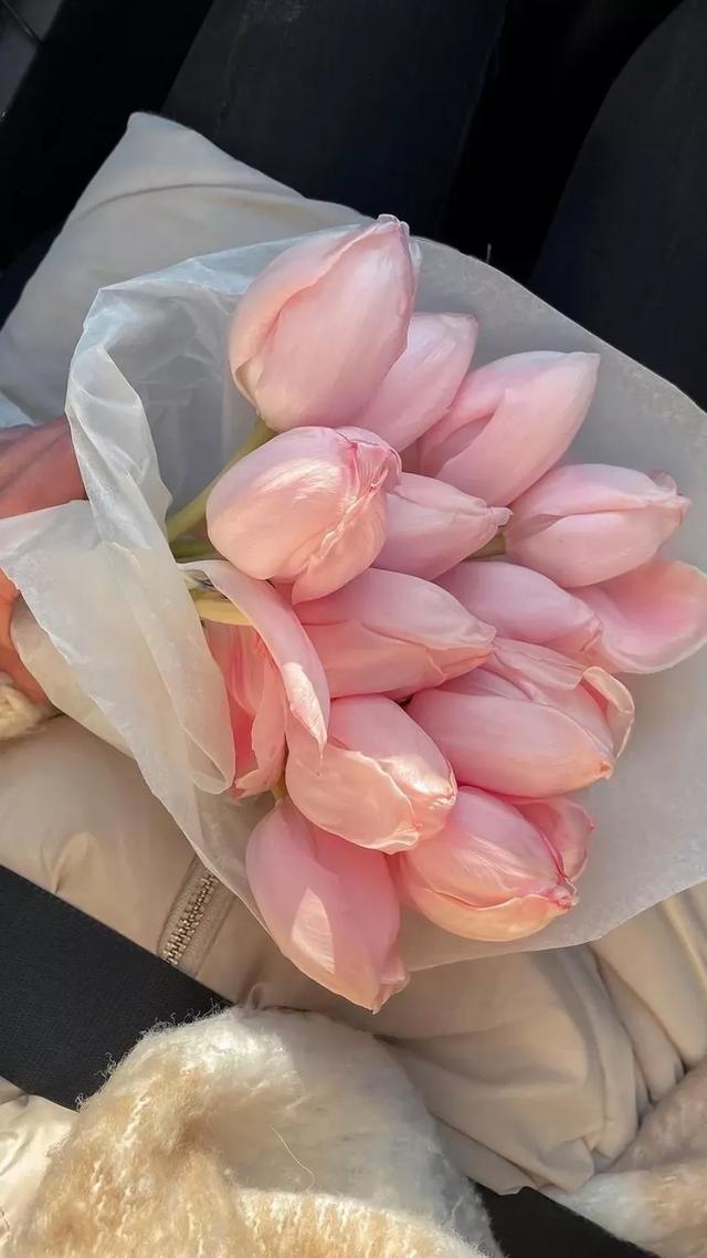 满满的高级感壁纸,高清无水印,分享给大家,点赞收藏吧