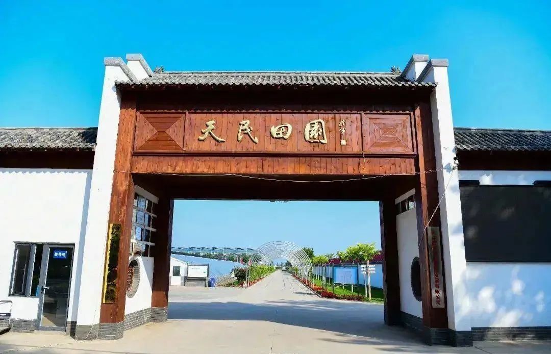 揭开运河畔五星村的幸福密码