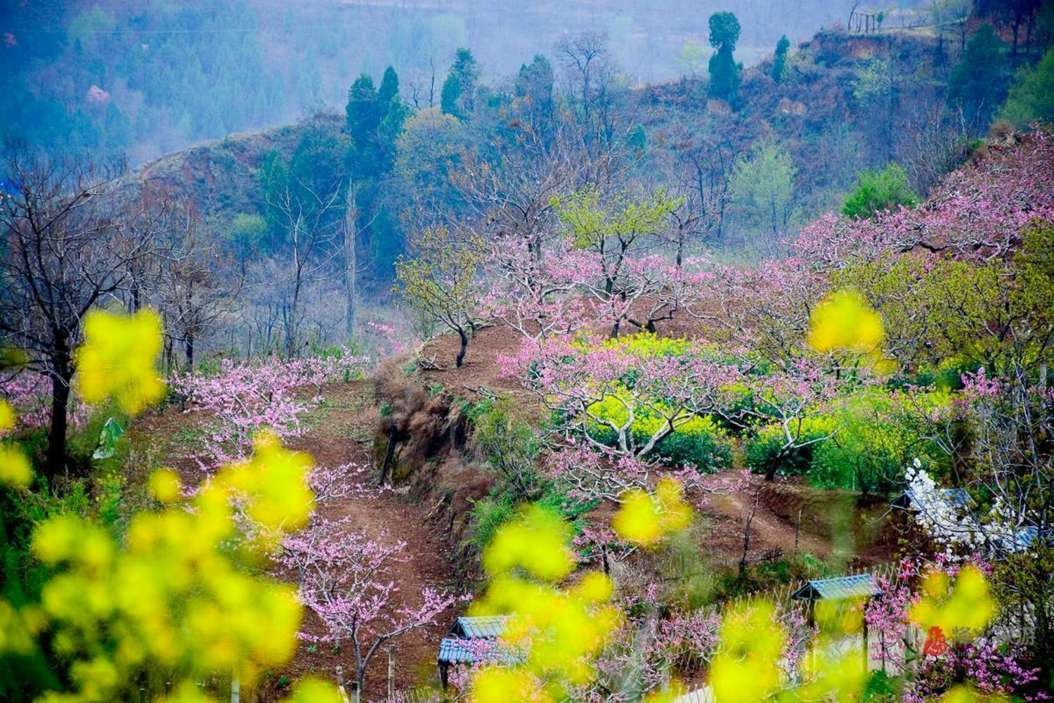 庐山桃花源景区图片图片