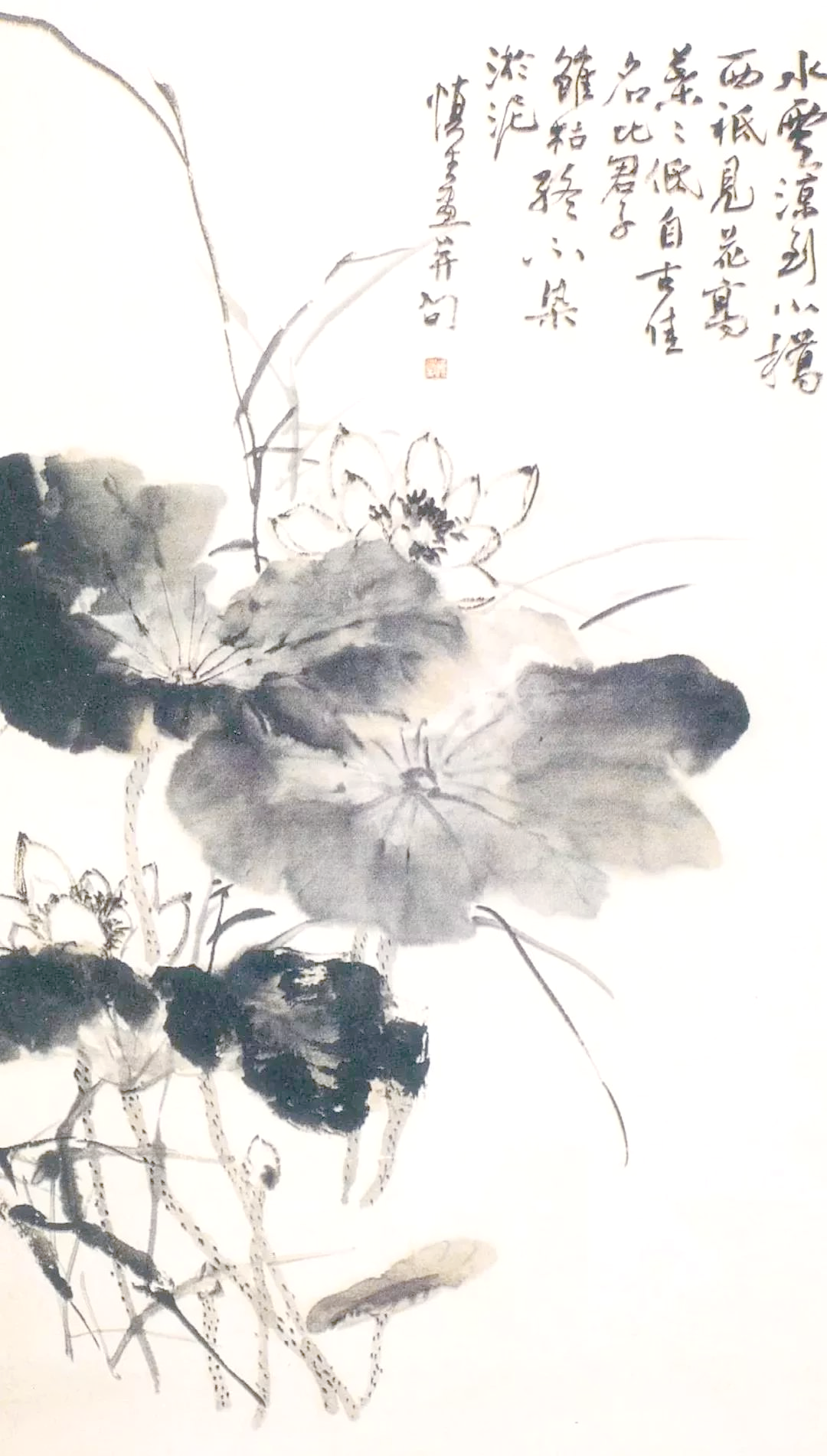 夏日欣赏汪慎生的水墨荷花,感受别样艺术魅力