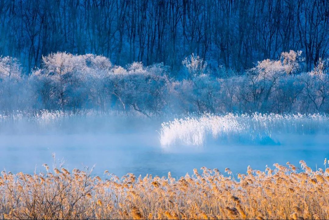 牡丹江的冬天美的恰到好处!