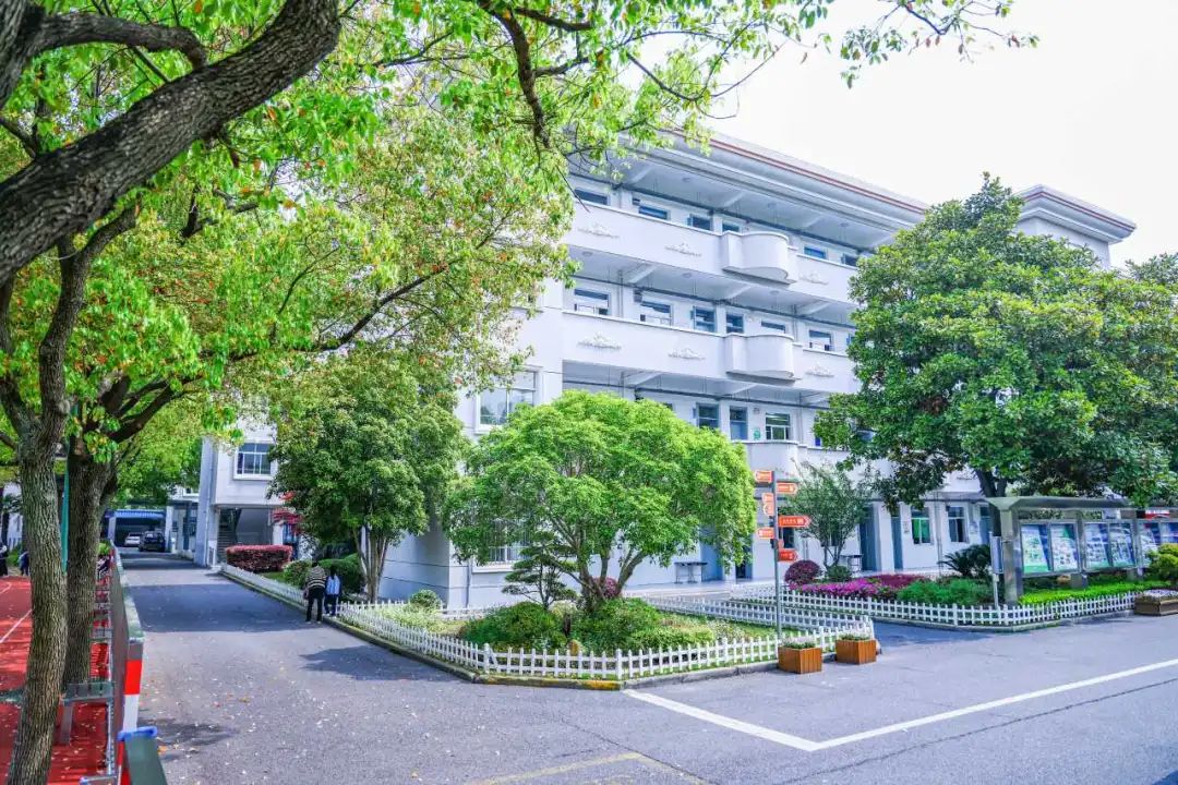 印象同济黄渡小学:刻画世间万物,摹写文化之魂