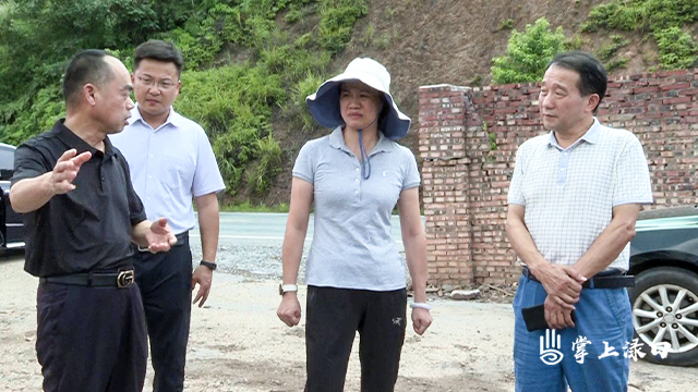 赖晓智调研重点项目进展