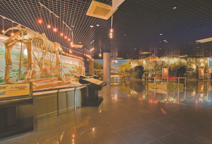 「文化产业周刊」厉群:让博物馆"活起来"的"魔术师"