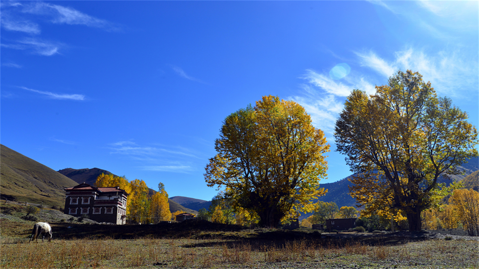 秋天的川西太"膨胀"了,这些绝美景点你去过吗?人少景美!