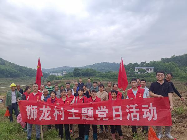 排头乡狮龙村:将主题党日活动开在田间地头,推进耕地抛荒治理