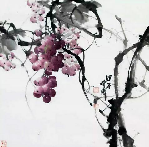 一起学书画:中国画花鸟画葡萄作品六幅