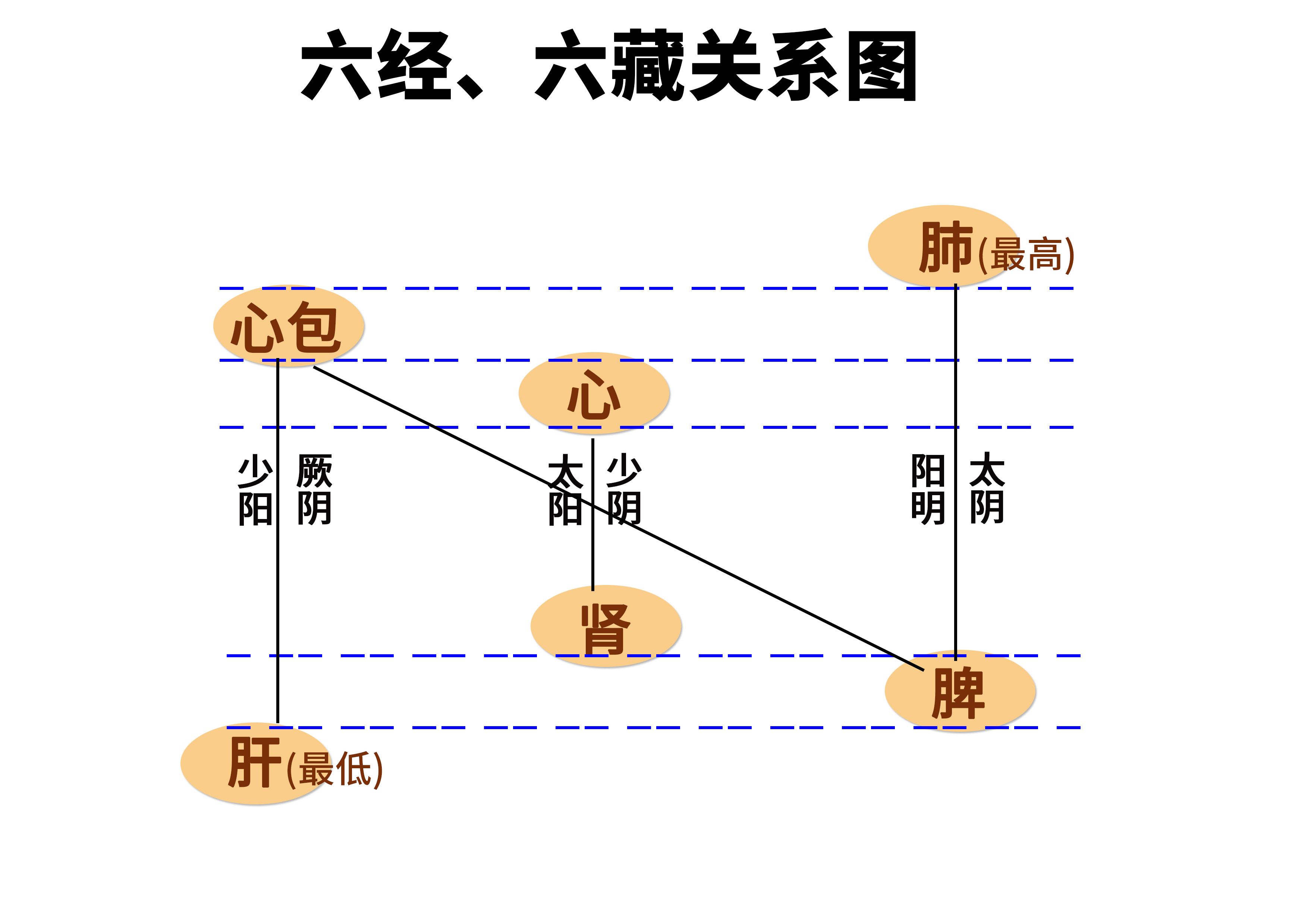 张紫阳奇经八脉图片