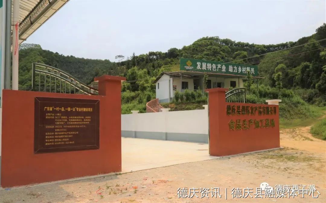 德庆县新圩镇黄瓜榨打造成为"一村一品"特色产业 增添乡村振兴新能量
