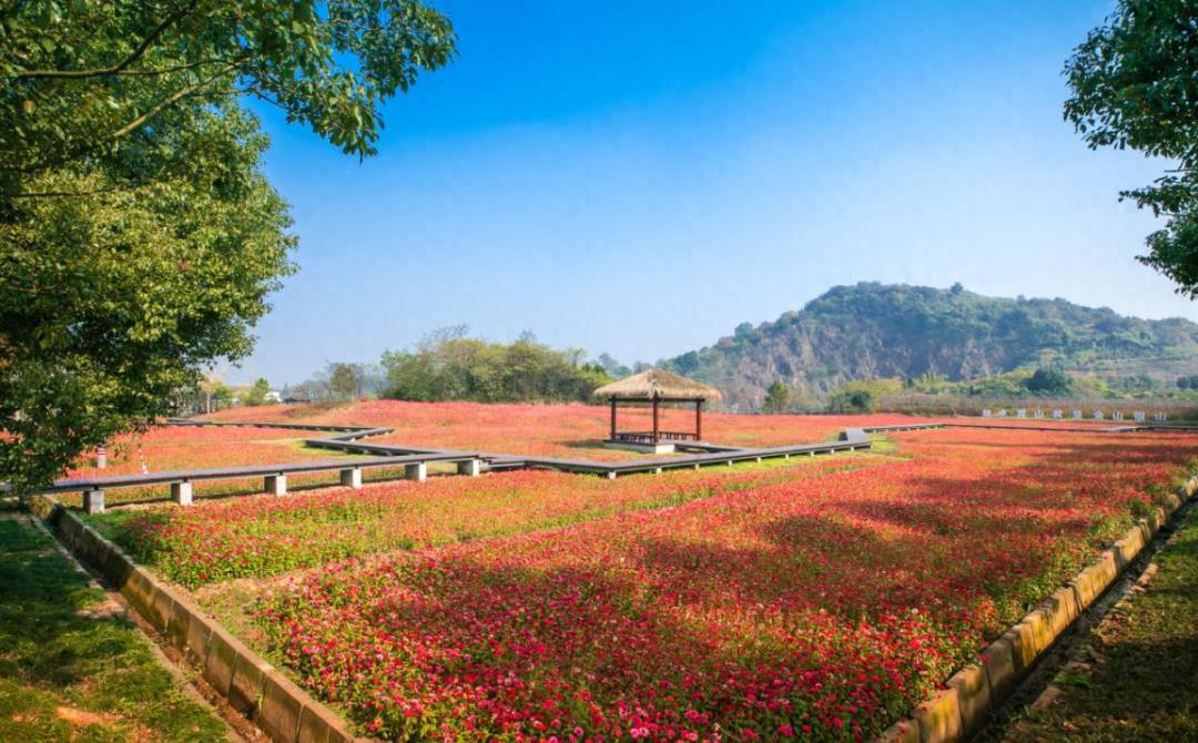 村游嘉兴|海盐县通元镇丰义村