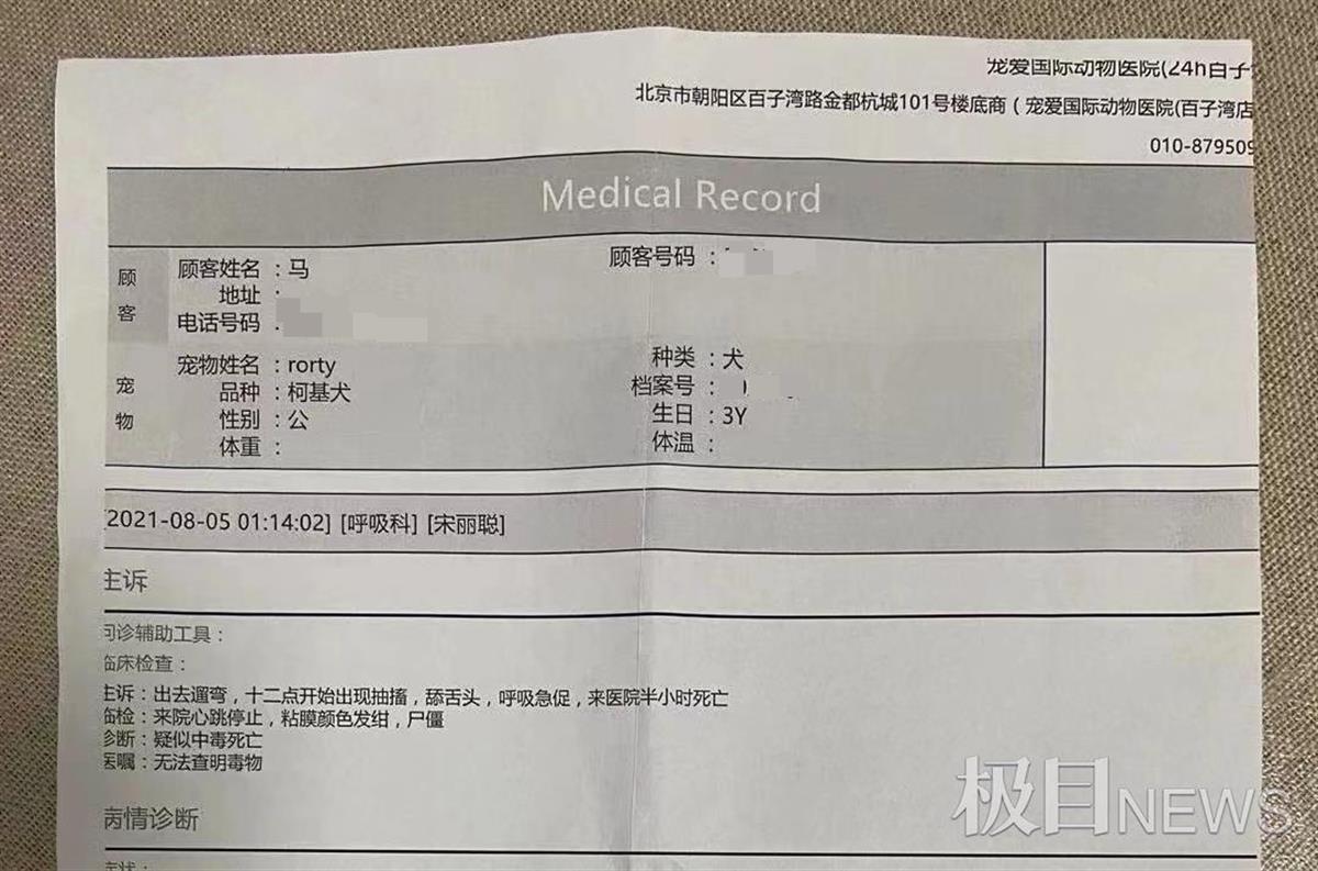 马女士柯基犬的诊断报告显示疑似中毒死亡