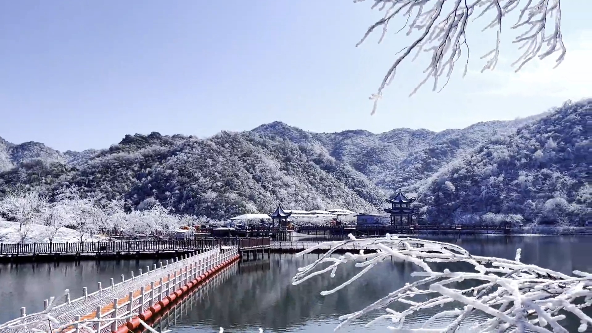 阳明山2022年雪景图片